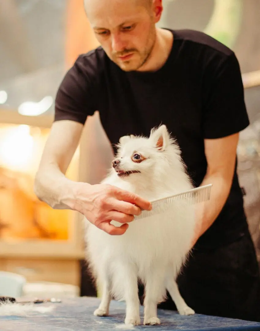 A man is holding a white dog and brushing it's fur.