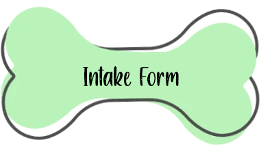 A green background with the words intake form in front.