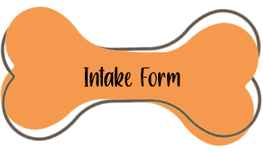 A picture of an orange and green background with the words intake form.