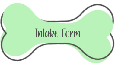 A green banner with the words intake form in front of it.